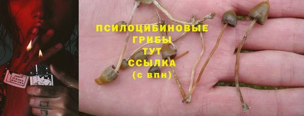 мескалин Осташков