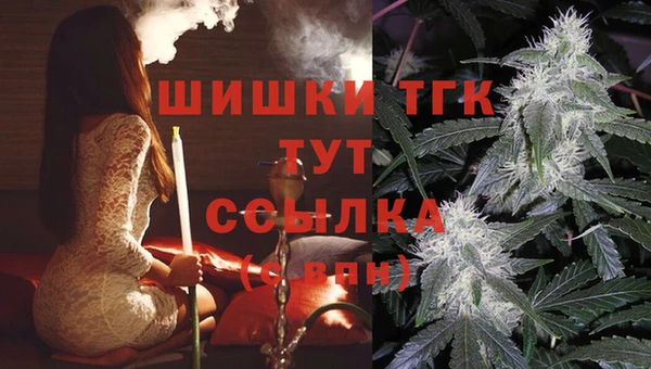 спайс Осинники