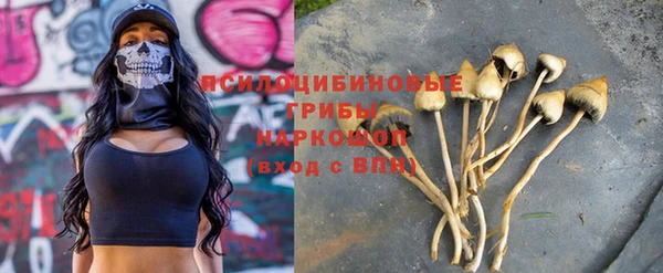 спайс Осинники